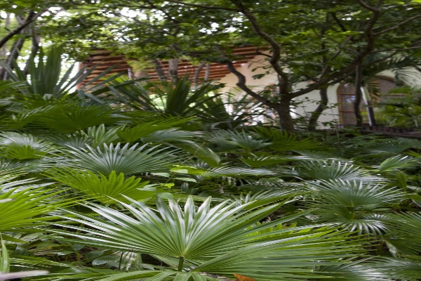Hotel Pelican Eyes Resort and Spa (San Juan del Sur)